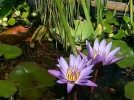 20150809_162057.webp