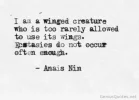 Anais-Nin-quote.webp