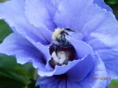 20150811_399.webp