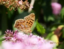 20150811_393-1.webp