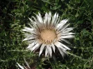 DSCF7444.webp
