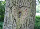 DSCN7176.webp