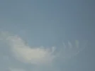 DSC08286.webp
