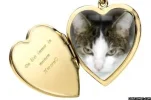 Gismo.webp