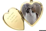 Tiggy in meinem Herzen.webp