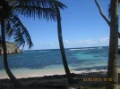 DomRep2013 047.webp