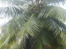 IMG_0083.webp