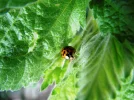 Bild 3345.webp