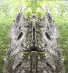 Felsengeist.webp