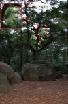 Hünengrab3.webp