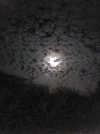 IMG_20150830_004807.webp