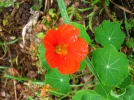 NZ 4 086.webp