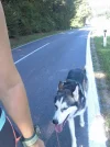 20150916_134251.webp