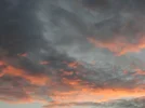 DSC08490.webp