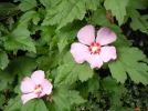 DSCN8014.webp