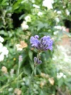 DSCN7955.webp