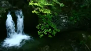 Nightvision.webp