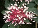 DSCF0368.webp