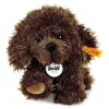 Timmy 1.webp