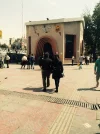 image.webp