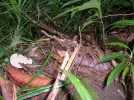 DSCF0481.webp
