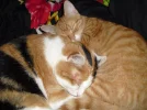 Lukas und Karli 039.webp