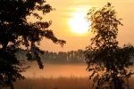 Billwerder Okt.09 112 (1024x683).webp
