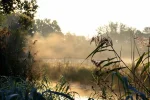 Billwerder Okt.09 073 (1024x683).webp