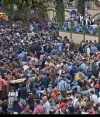 wiesnSO2.webp