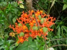 DSCF0402.webp