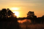dunkler 034.webp