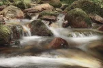Aug 2015 Mummelsee (68 von 204).webp