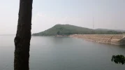 064.webp