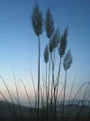 IMG_8403.webp