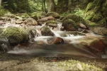 Aug 2015 Mummelsee (69 von 204).webp