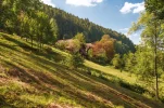 Aug 2015 Mummelsee (98 von 204).webp