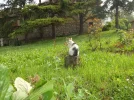 Res3060.webp