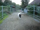 DSCN0116.webp