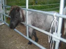 Dscn0122.webp