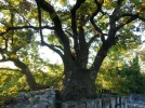 DSCN0094.webp