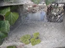 282989_351447608287356_424055670_n.webp