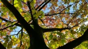 20151019_141625[1].webp
