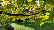 20151019_141634[1].webp