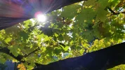 20151019_141547[1].webp