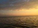 12045519_10153617502748954_5126097531567413076_o.webp
