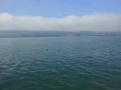 A0058Res.webp