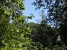 B0097Res.webp