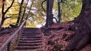 20151024_125923.webp