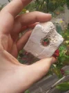 20151025_095242.webp