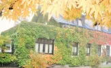 DSCF7735 (2).webp